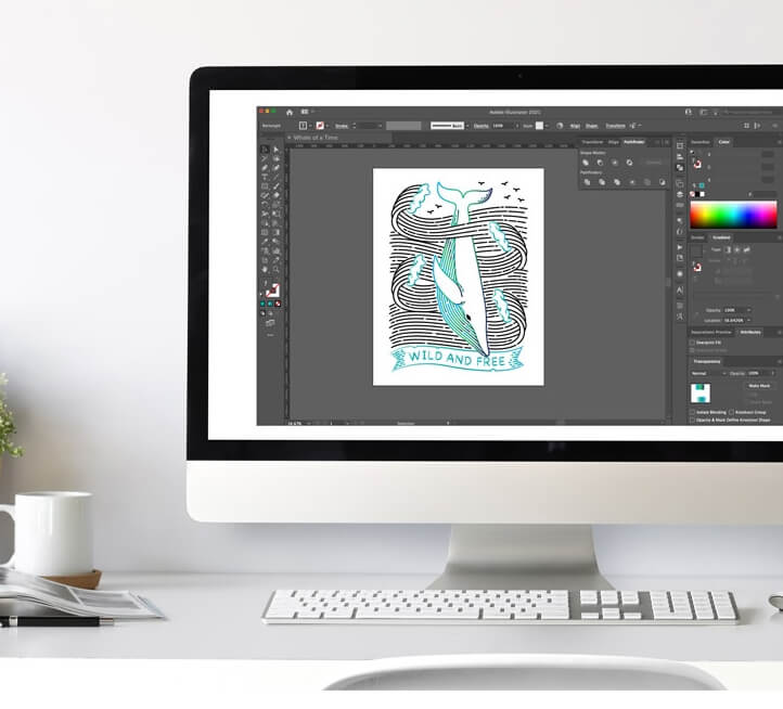 Graphic Design Software