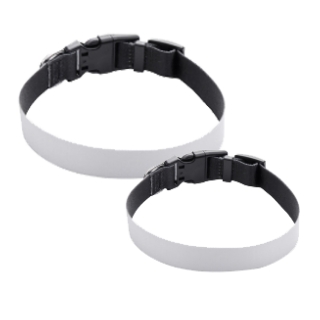 two different sizes of pet collars