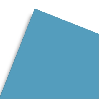SINGLE-PLY PLASTIC